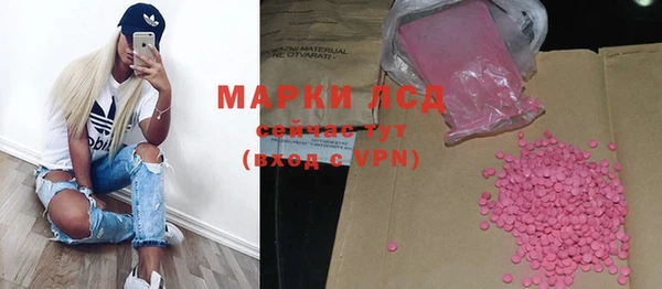 шишки Армянск