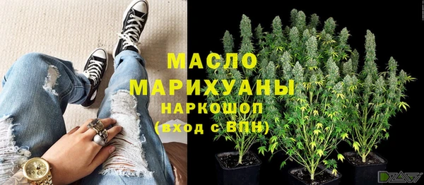 крисы Няндома