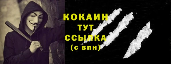 шишки Армянск