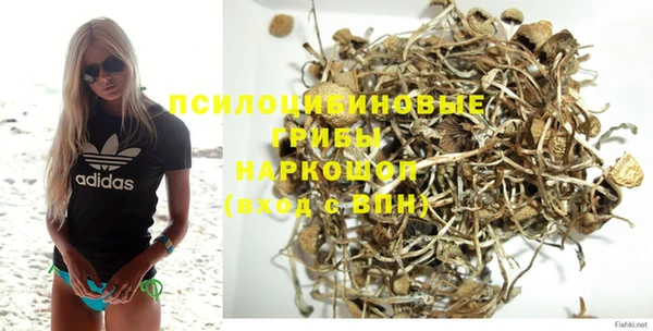 твердый Арсеньев