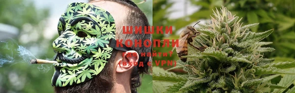 шишки Армянск