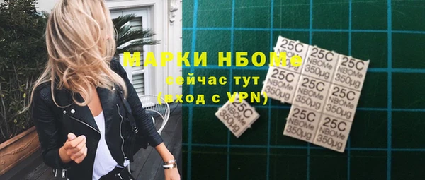 твердый Арсеньев