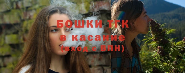 твердый Арсеньев